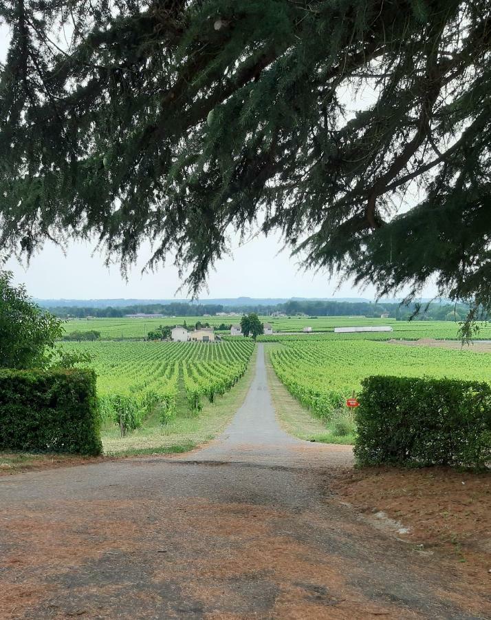 Bed and Breakfast A L'Ombre De La Treille -Proche Saint-Emilion Exteriér fotografie